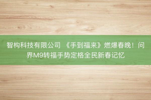 智构科技有限公司 《手到福来》燃爆春晚！问界M9转福手势定格全民新春记忆