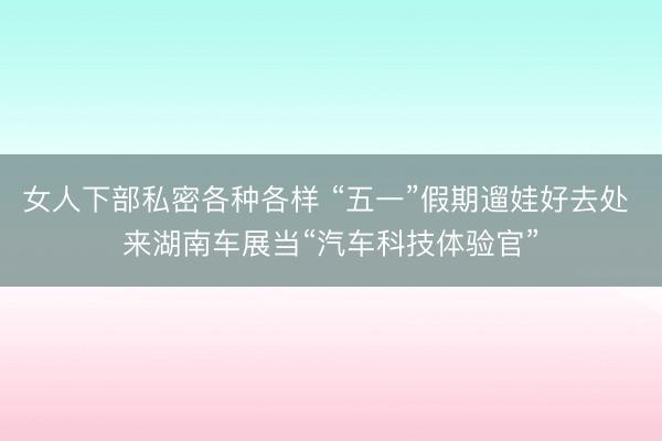 女人下部私密各种各样 “五一”假期遛娃好去处 来湖南车展当“汽车科技体验官”