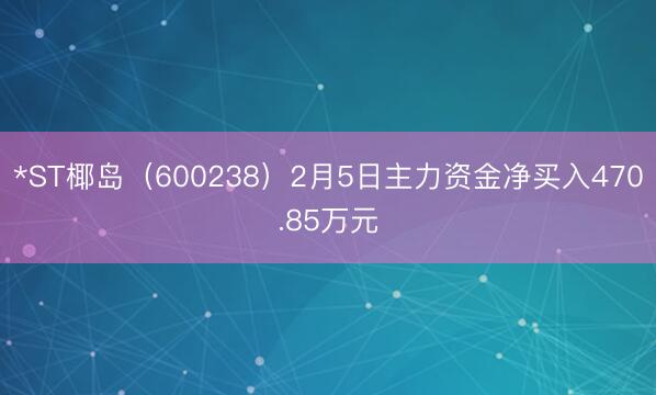 *ST椰岛（600238）2月5日主力资金净买入470.85万元