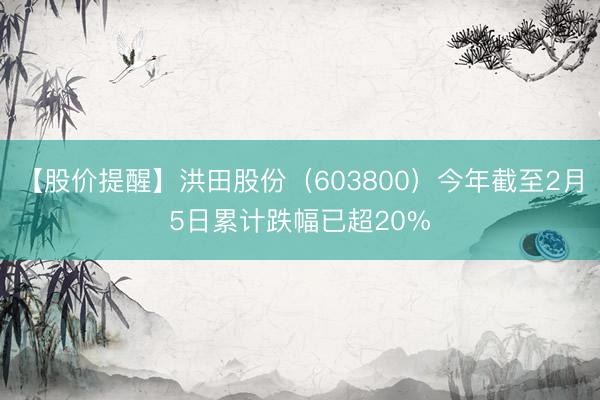 【股价提醒】洪田股份（603800）今年截至2月5日累计跌幅已超20%