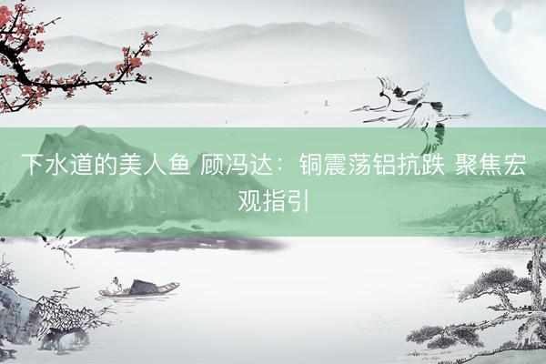 下水道的美人鱼 顾冯达：铜震荡铝抗跌 聚焦宏观指引