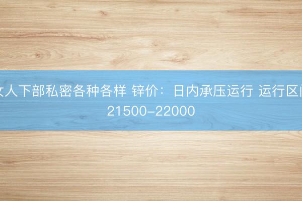 女人下部私密各种各样 锌价：日内承压运行 运行区间21500-22000