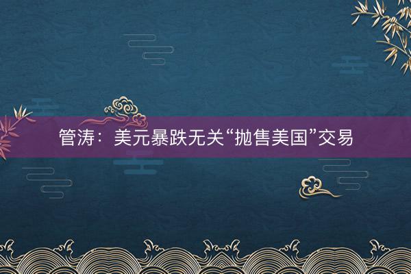 管涛：美元暴跌无关“抛售美国”交易