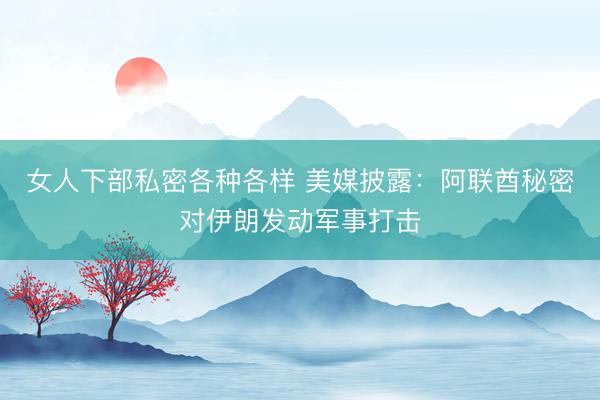 女人下部私密各种各样 美媒披露：阿联酋秘密对伊朗发动军事打击