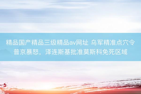 精品国产精品三级精品av网址 乌军精准点穴令普京暴怒，泽连斯基批准莫斯科免死区域