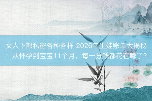女人下部私密各种各样 2026年生娃账单大揭秘：从怀孕到宝宝11个月，每一分钱都花在哪了？