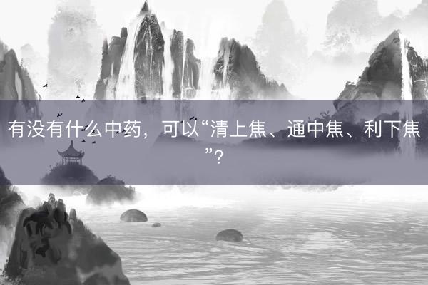有没有什么中药，可以“清上焦、通中焦、利下焦”？