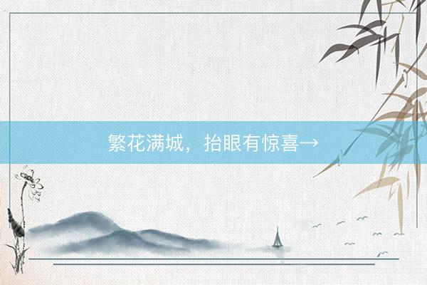 繁花满城，抬眼有惊喜→