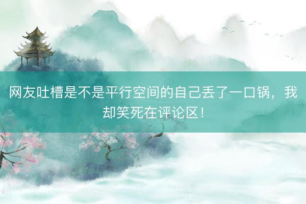 网友吐槽是不是平行空间的自己丢了一口锅，我却笑死在评论区！