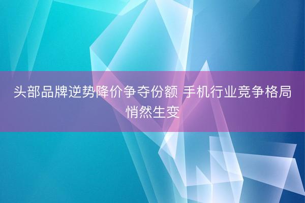 头部品牌逆势降价争夺份额 手机行业竞争格局悄然生变