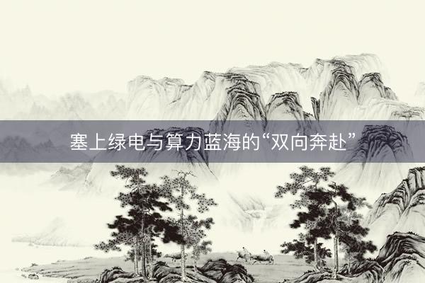 塞上绿电与算力蓝海的“双向奔赴”