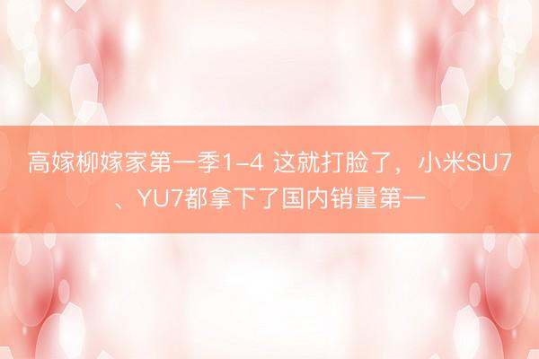 高嫁柳嫁家第一季1-4 这就打脸了，小米SU7、YU7都拿下了国内销量第一