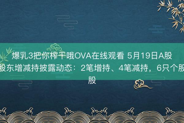 爆乳3把你榨干哦OVA在线观看 5月19日A股股东增减持披露动态:2笔增持、4笔减持,6只个股