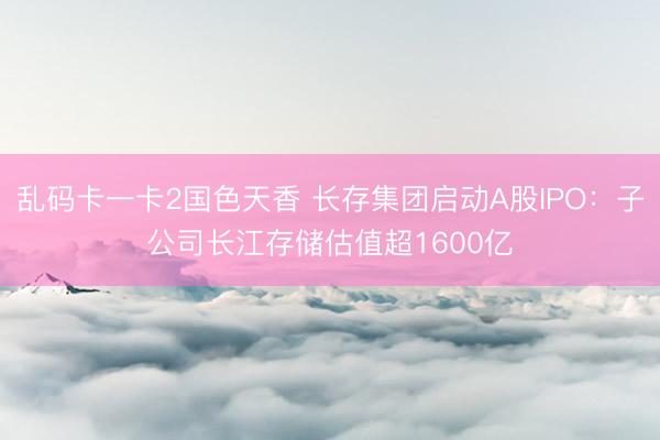 乱码卡一卡2国色天香 长存集团启动A股IPO：子公司长江存储估值超1600亿