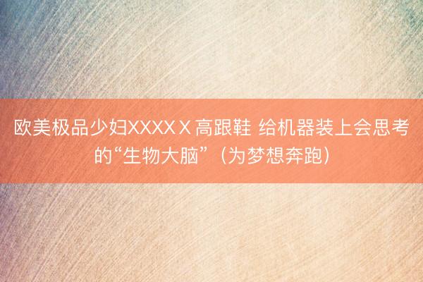 欧美极品少妇XXXXⅩ高跟鞋 给机器装上会思考的“生物大脑”（为梦想奔跑）