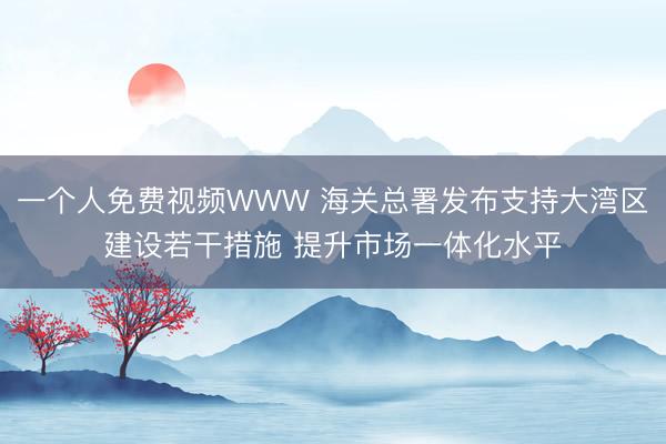 一个人免费视频WWW 海关总署发布支持大湾区建设若干措施 提升市场一体化水平