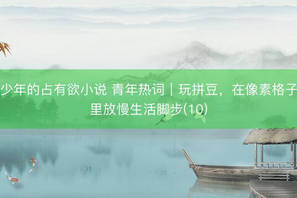 少年的占有欲小说 青年热词｜玩拼豆，在像素格子里放慢生活脚步(10)