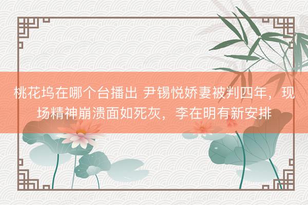 桃花坞在哪个台播出 尹锡悦娇妻被判四年，现场精神崩溃面如死灰，李在明有新安排