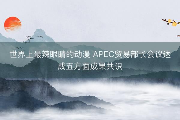 世界上最辣眼睛的动漫 APEC贸易部长会议达成五方面成果共识