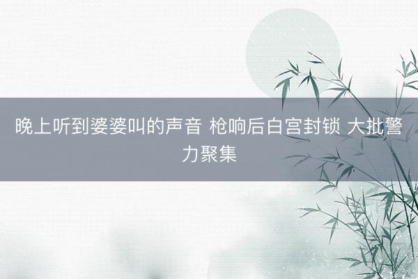 晚上听到婆婆叫的声音 枪响后白宫封锁 大批警力聚集