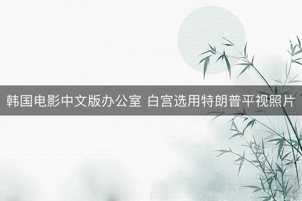 韩国电影中文版办公室 白宫选用特朗普平视照片