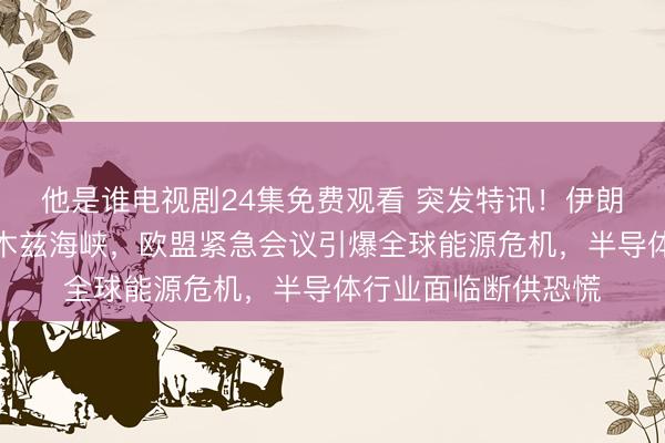 他是谁电视剧24集免费观看 突发特讯！伊朗总统强硬封锁霍尔木兹海峡，欧盟紧急会议引爆全球能源危机，半导体行业面临断供恐慌