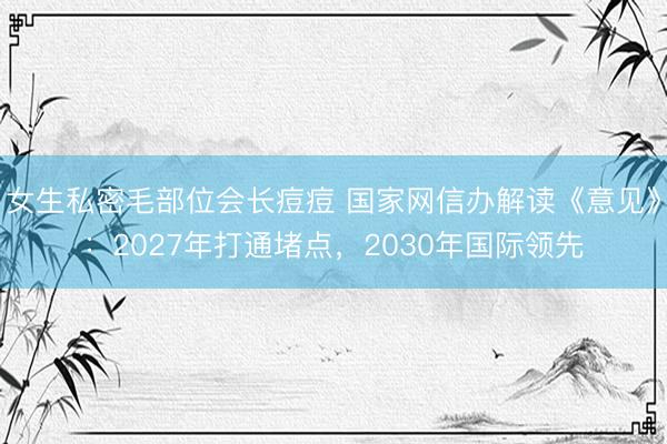 女生私密毛部位会长痘痘 国家网信办解读《意见》：2027年打通堵点，2030年国际领先