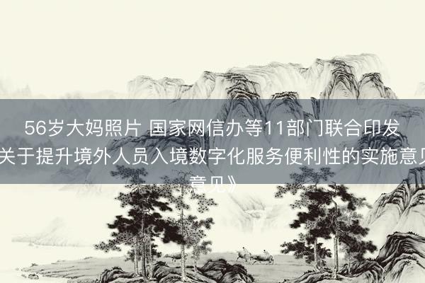 56岁大妈照片 国家网信办等11部门联合印发《关于提升境外人员入境数字化服务便利性的实施意见》