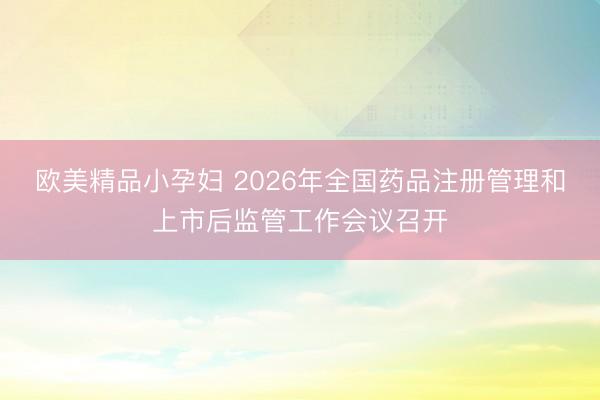 欧美精品小孕妇 2026年全国药品注册管理和上市后监管工作会议召开