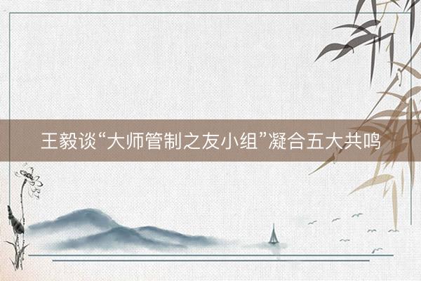 王毅谈“大师管制之友小组”凝合五大共鸣