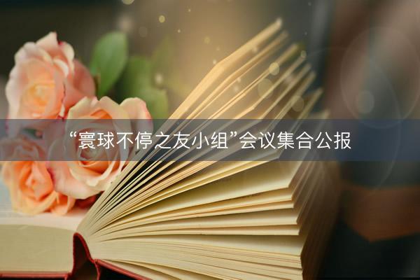 “寰球不停之友小组”会议集合公报