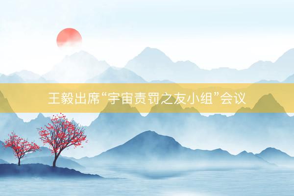 王毅出席“宇宙责罚之友小组”会议