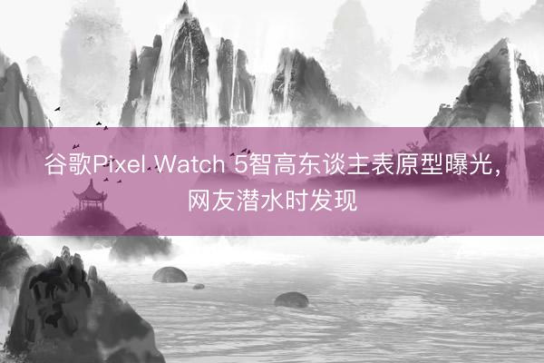 谷歌Pixel Watch 5智高东谈主表原型曝光，网友潜水时发现