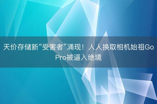 天价存储新“受害者”涌现！人人换取相机始祖GoPro被逼入绝境