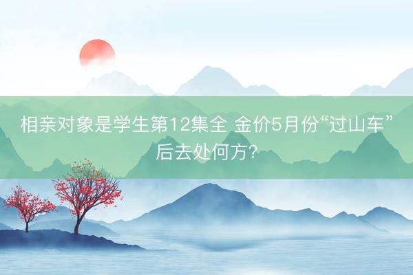 相亲对象是学生第12集全 金价5月份“过山车”后去处何方？