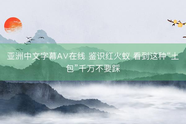 亚洲中文字幕A∨在线 鉴识红火蚁 看到这种“土包”千万不要踩