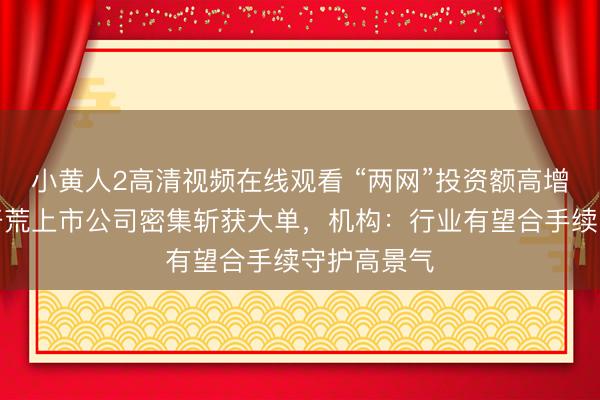 小黄人2高清视频在线观看 “两网”投资额高增长，电力开荒上市公司密集斩获大单，机构：行业有望合手续守护高景气