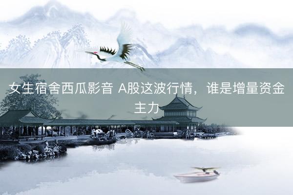女生宿舍西瓜影音 A股这波行情，谁是增量资金主力