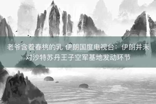 老爷含着春桃的乳 伊朗国度电视台：伊朗并未对沙特苏丹王子空军基地发动环节