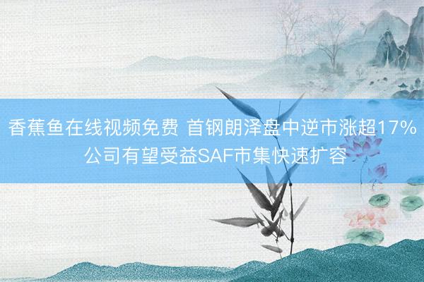 香蕉鱼在线视频免费 首钢朗泽盘中逆市涨超17% 公司有望受益SAF市集快速扩容