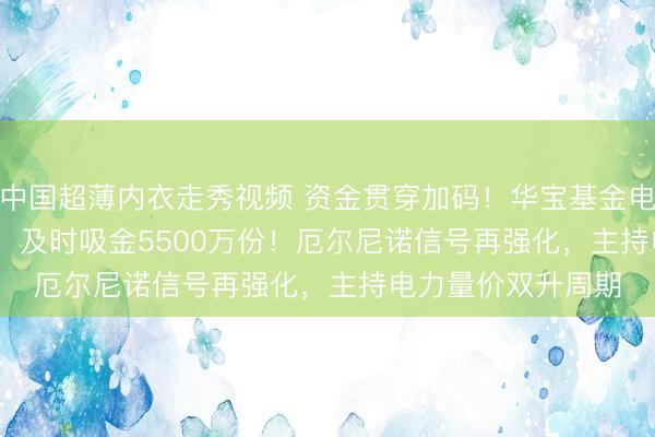 中国超薄内衣走秀视频 资金贯穿加码！华宝基金电力ETF（159146）及时吸金5500万份！厄尔尼诺信号再强化，主持电力量价双升周期