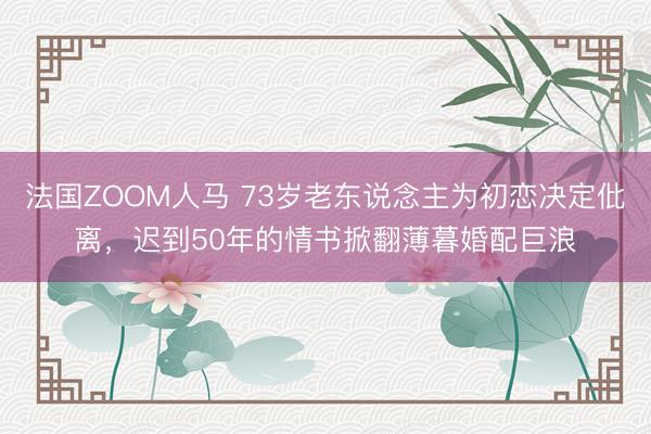 法国ZOOM人马 73岁老东说念主为初恋决定仳离，迟到50年的情书掀翻薄暮婚配巨浪