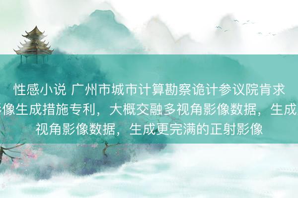 性感小说 广州市城市计算勘察诡计参议院肯求高斯溅射的正射影像生成措施专利，大概交融多视角影像数据，生成更完满的正射影像