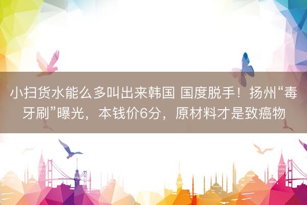 小扫货水能么多叫出来韩国 国度脱手！扬州“毒牙刷”曝光，本钱价6分，原材料才是致癌物