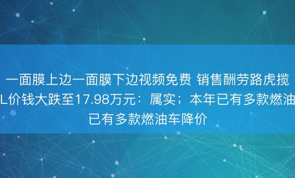 一面膜上边一面膜下边视频免费 销售酬劳路虎揽胜极光L价钱大跌至17.98万元：属实；本年已有多款燃油车降价