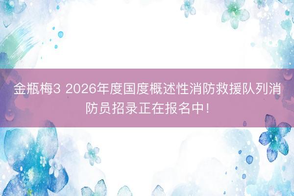 金瓶梅3 2026年度国度概述性消防救援队列消防员招录正在报名中！