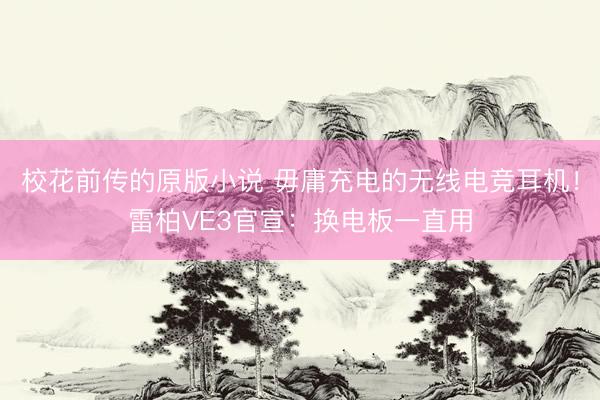 校花前传的原版小说 毋庸充电的无线电竞耳机！雷柏VE3官宣：换电板一直用