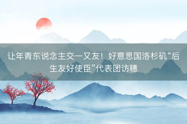 让年青东说念主交一又友！好意思国洛杉矶“后生友好使臣”代表团访穗