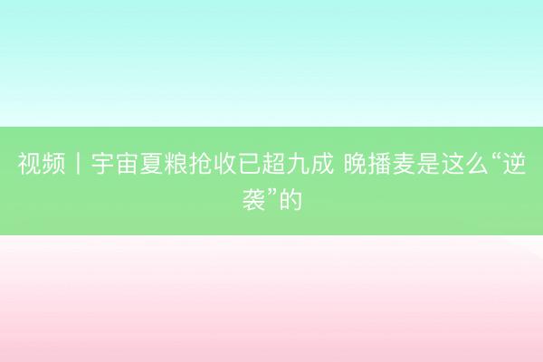 视频丨宇宙夏粮抢收已超九成 晚播麦是这么“逆袭”的
